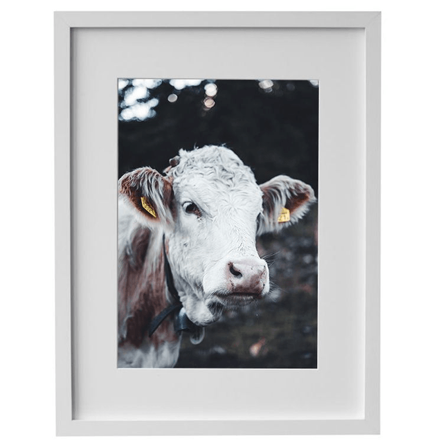 Vache 'Marguerite' - Faune