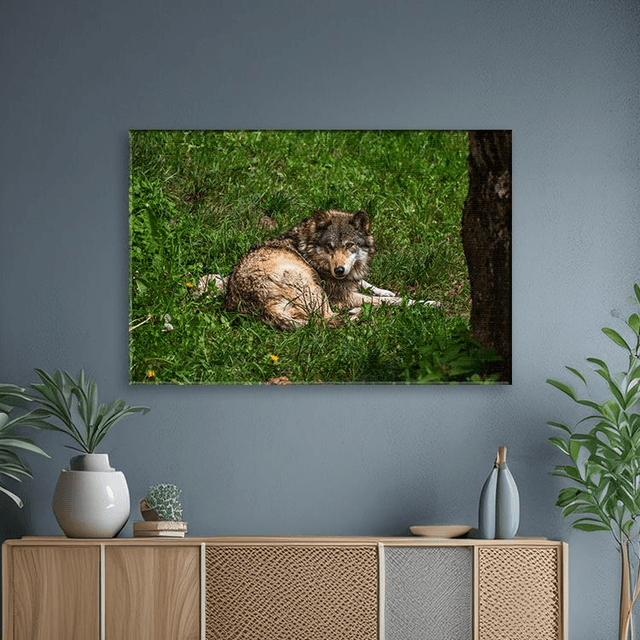 Jeune Loup 'Sky' - Faune - Toile