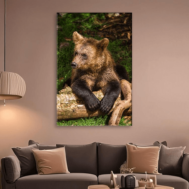 Ours 'Tanie' - Faune - Toile