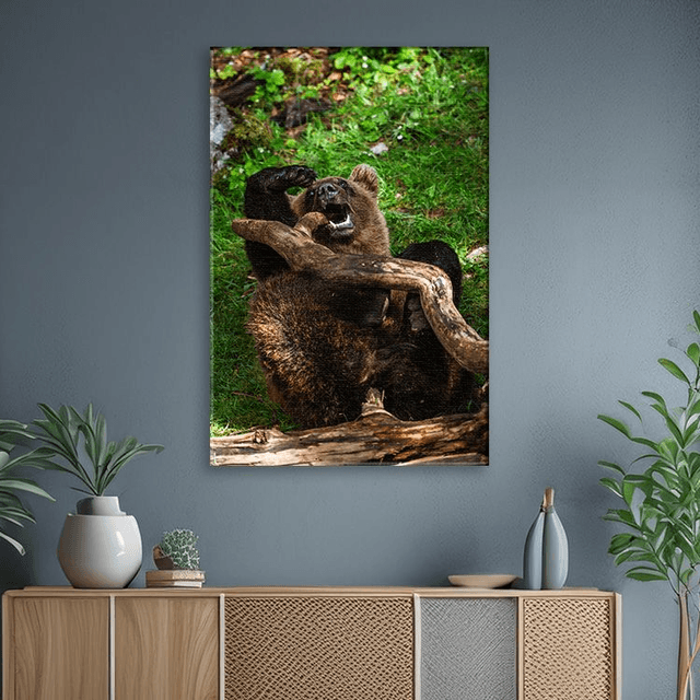Ours 'Tanie' qui joue - Faune - Toile