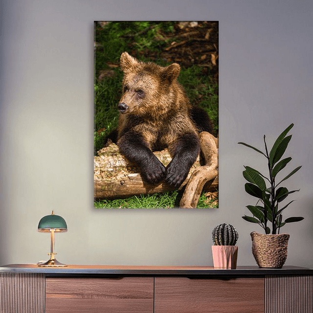 Ours 'Tanie' - Faune - Toile