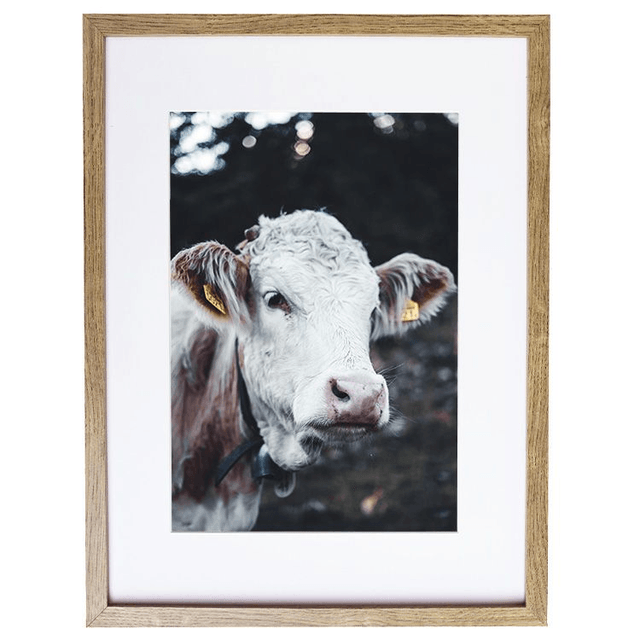 Vache 'Marguerite' - Faune