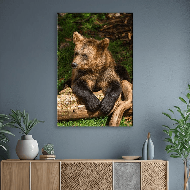 Ours &#039;Tanie&#039; - Faune - Toile